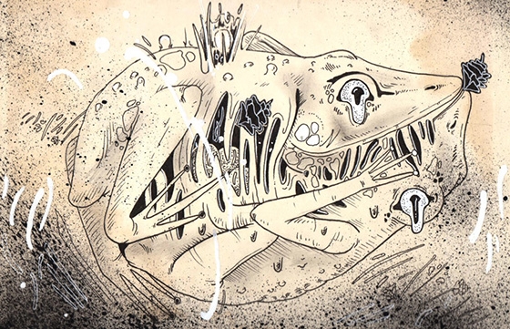 Artist Interview: Cannon Dill