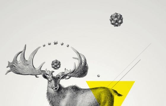 In Illustration: Archetypes Series
