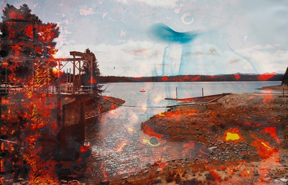 Matthew Brandt: Lakes, Trees and Honeybees