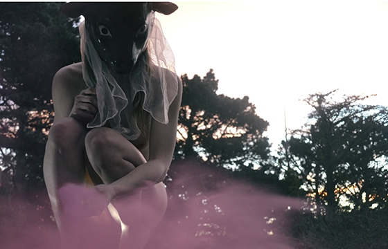 Dustin Bennett Photography