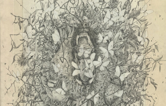 The Work of Eiko Borcherding