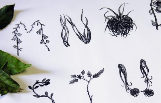 Illustrated Plant Alphabet