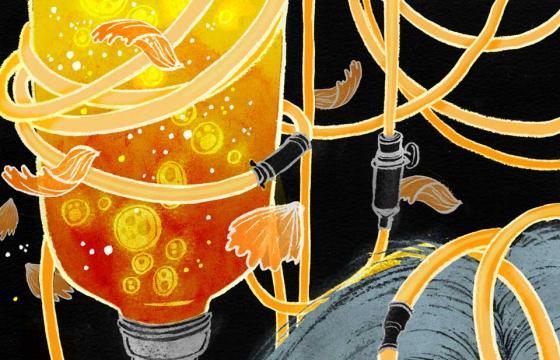 New Works by Yuko Shimizu
