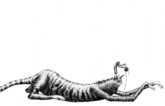 Cat and string illustration by Phlegm