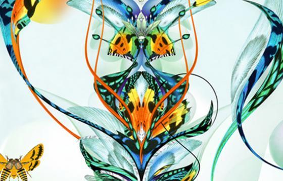 The Work of Bozka