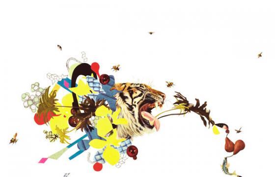 Paintings by Kelly Allen