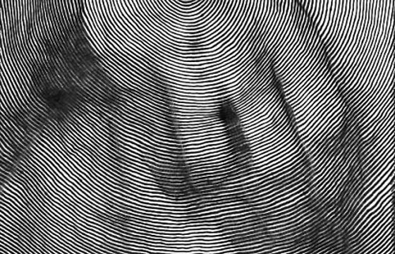 Paolo Čerić's Single Stroke