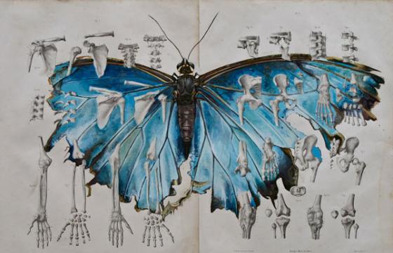 The Work of Troels Carlsen