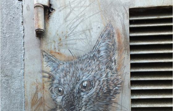 C215 in Oslo, Norway