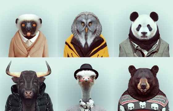 Zoo Portraits by Yago Partal