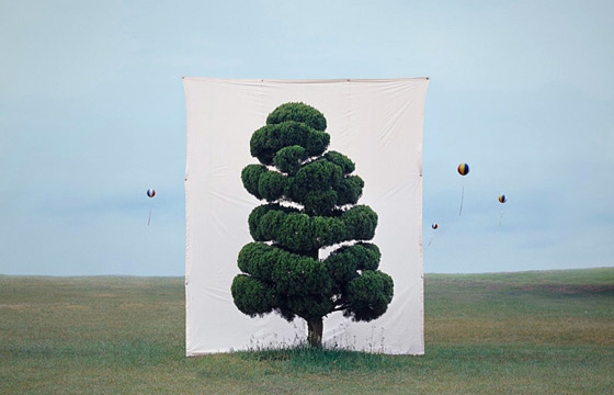 Photographs by Myoung Ho Lee