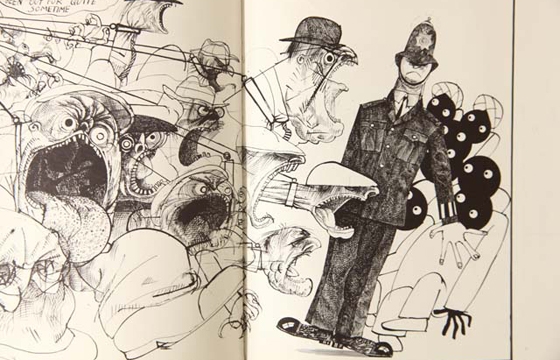 Still Life With Raspberry or The Bumper Book of Steadman