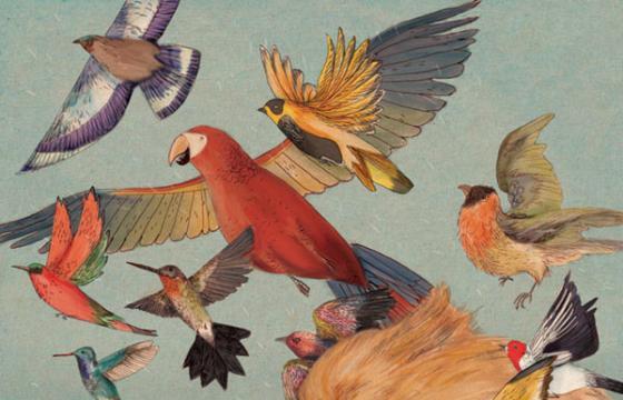 In Illustration: The Work of Lizzy Stewart