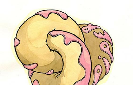 Drawing Experiment V: Donut Heaven