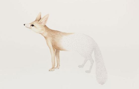 The Illustrations of Marcela Cardenas
