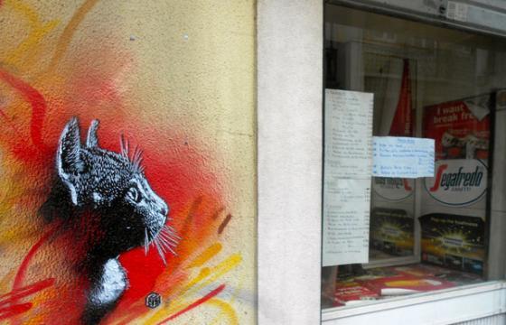 Cat Stencil by C215 in Lisbon