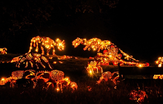 The Best of New York's Great Jack O'Lantern Blaze