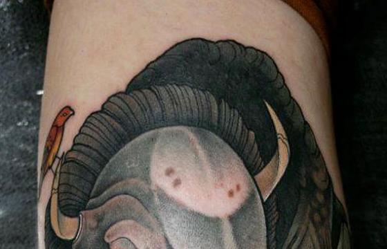 Tattoos from Mitch Allenden