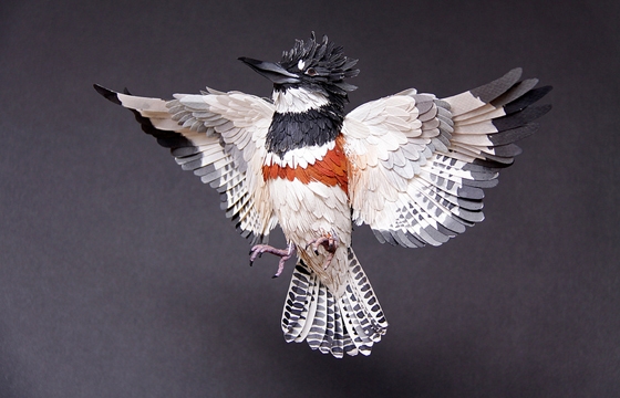 Update: Paper Bird Sculptures by Diana Beltran Herrera