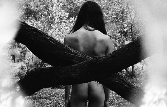 More From Daniel Gonzalez