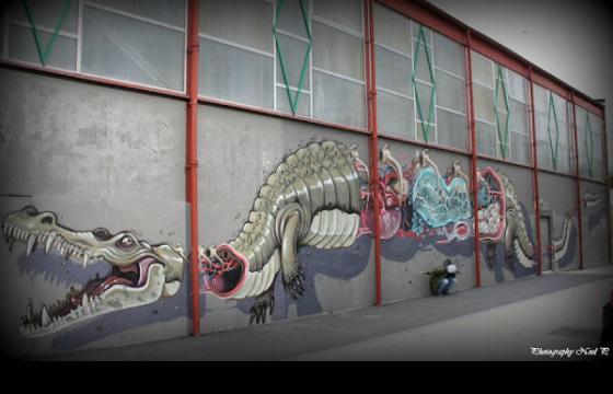 Sectioned Crocodile by Nychos