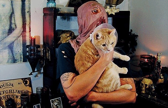 Metal Cats
