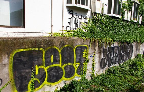 Sect & Want
