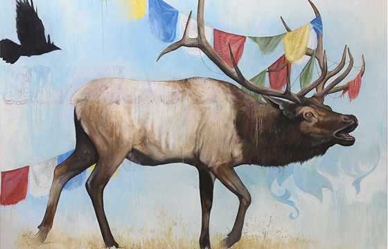 Bryan Holland's Animal Menagerie