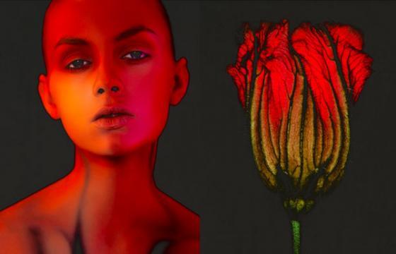Carsten Witte's Dyptichs