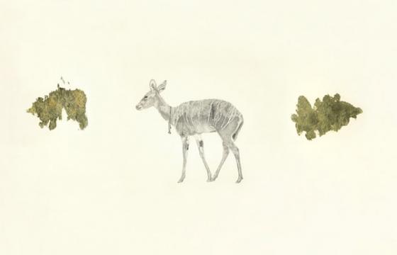 The Works of Adam Batchelor