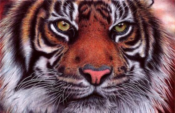 More Ballpoint Pen Work by Samuel Silva