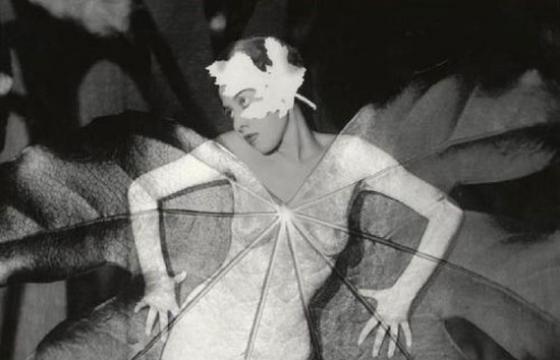 Heinz Hajek-Halke
