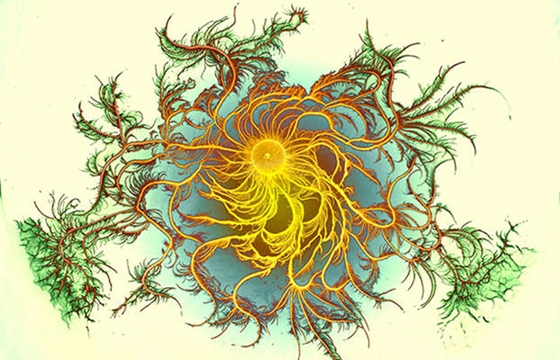 The Social Behavior of Bacteria Explored in Art