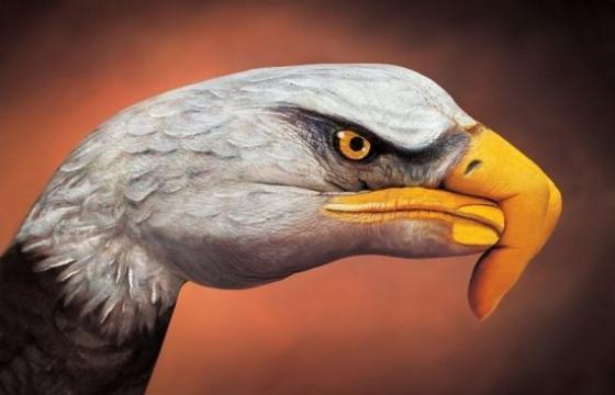 Handimals, aka Hand Art by Guido Daniele