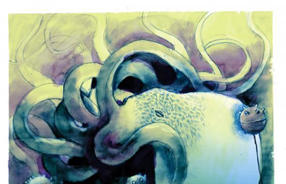 In Illustration: The Work of Maarten Donders