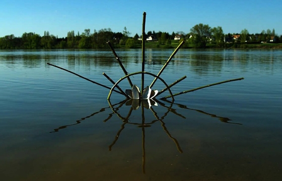 Back To Nature by Fesson Ludovic