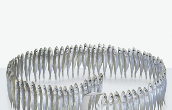 Food = Fashion by Fulvio Bonavia