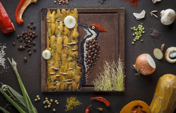 Food Illustrations by Anna Keville Joyce