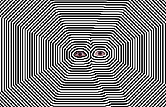 Staring Contests by Daniel Minnick
