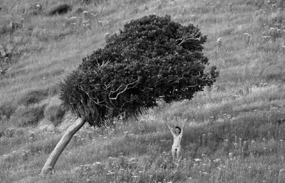 Nudes in Landscape