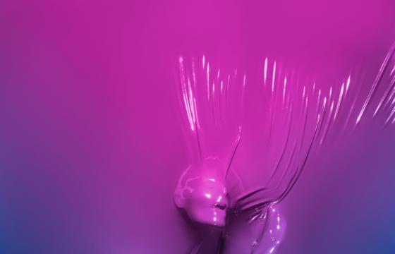 Skin Deep: Photography by Julien Palast