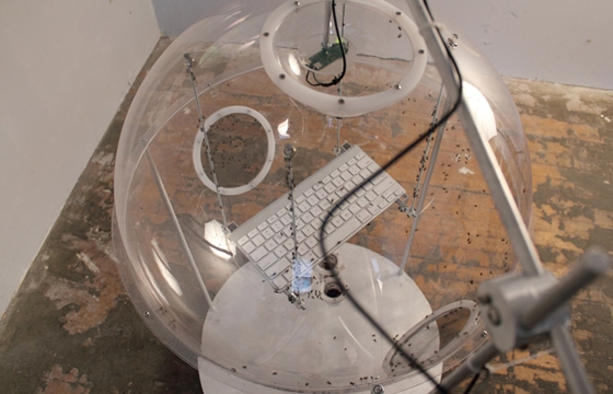 David Bowen's Installation "allows" Houseflies to Tweet