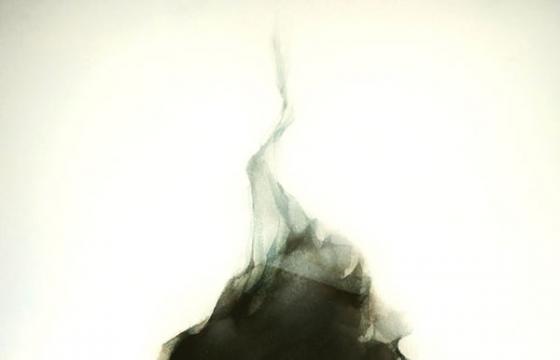 Dima Rebus Illustration
