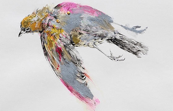 Birds by Jennifer Mills