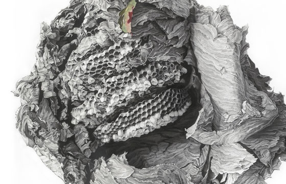 Ropes and Nests from Huguette Despault May