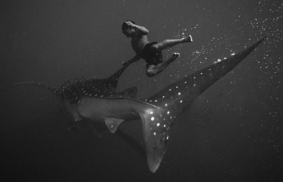 Underwater Photographs by Hengki Koentjoro