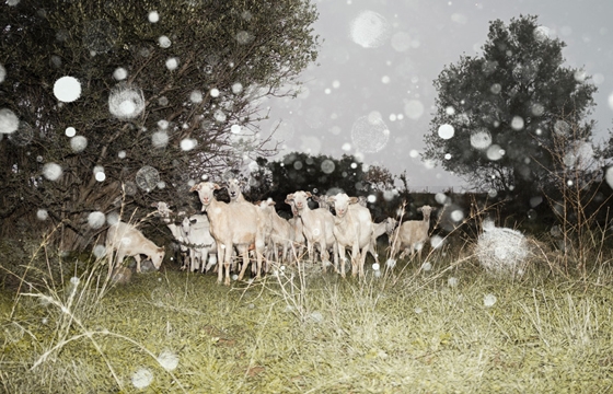 "In Landsapes," Photographs by Petros Koublis