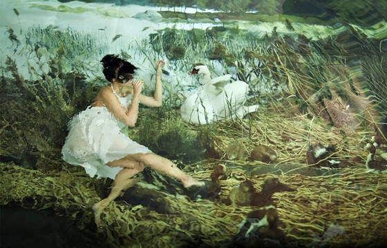 Susanna Majuri's Underwater Worlds