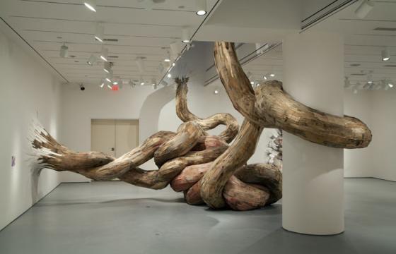 The Works of Henrique Oliveria