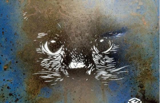 C215: I Can See You